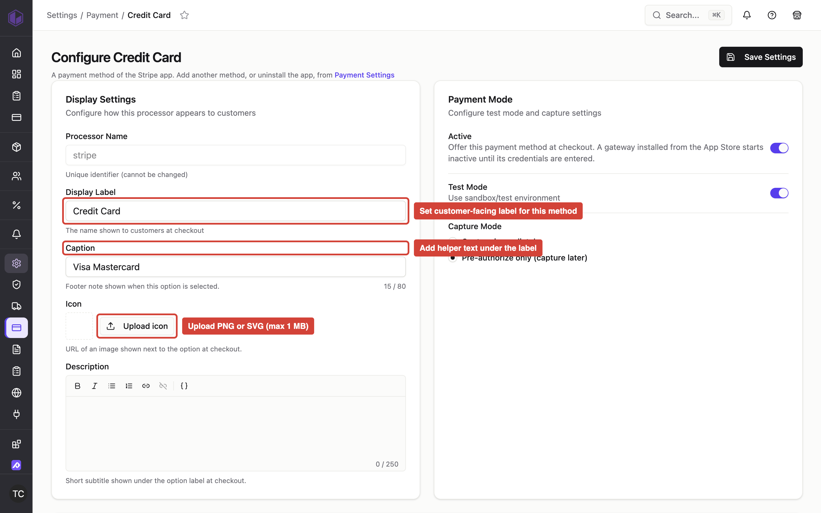 The Display Settings section of a payment processor configuration screen, showing the Display Label field, Caption field, Icon upload button, and Description field that control how the payment method appears at checkout.